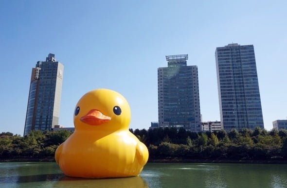 ruber_duck_porject_seoul_02