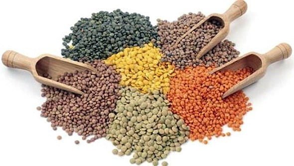 Lentils