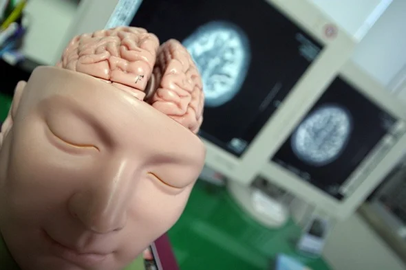 brain_health