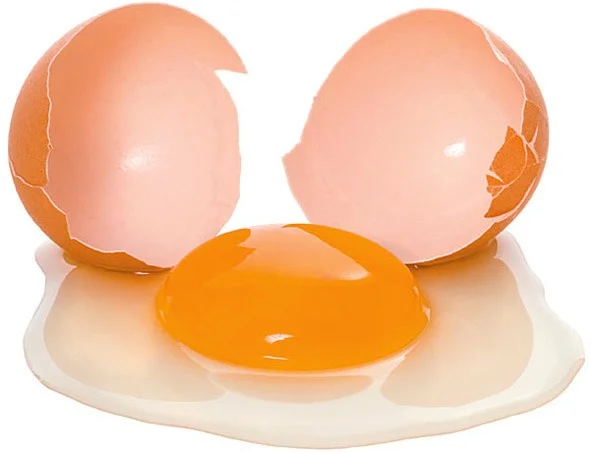 egg