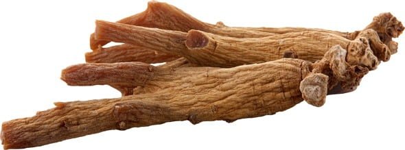 ginseng